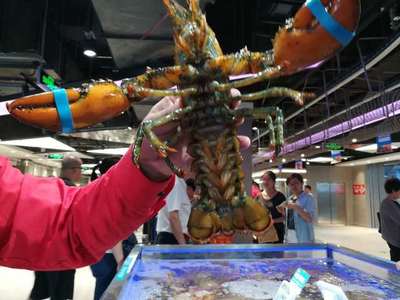 走馬觀花十里堡盒馬，新零售的水產(chǎn)品長啥樣？