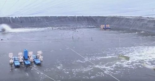 每個(gè)企業(yè)都是防疫網(wǎng)格 復(fù)工復(fù)產(chǎn)雙勝利丨惠東水產(chǎn)品觸網(wǎng)，助力走出滯銷困境